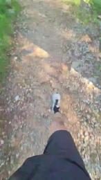 grx_22 webcam model stream image