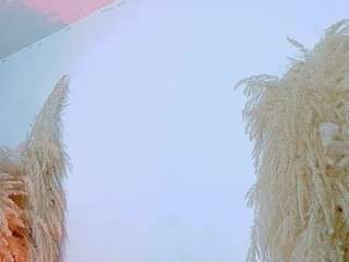 juliethdavis webcam model stream image