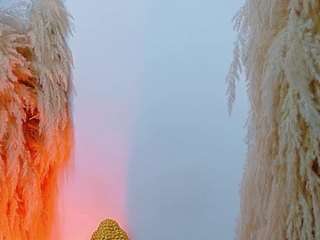 juliethdavis webcam model stream image