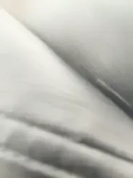 Sunny___Bunny webcam model stream image