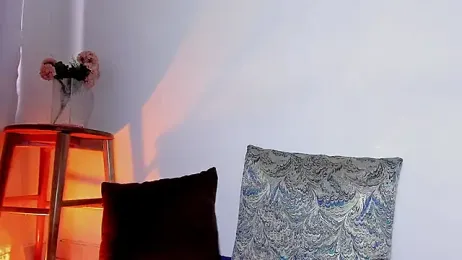 wini_fer webcam model stream image