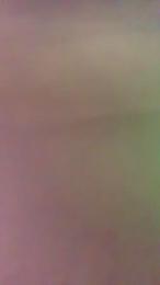 Bistrobest webcam model stream image