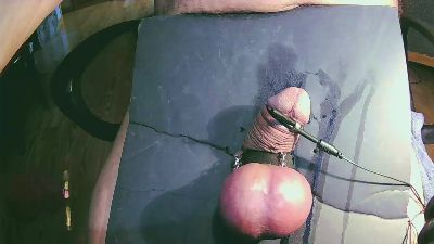 ballsring4 webcam model stream image