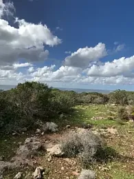 Inked_lorena webcam model stream image