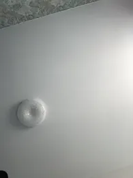 AlishaOfThorns webcam model stream image