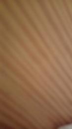 Trompa17 webcam model stream image