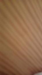 Trompa17 webcam model stream image