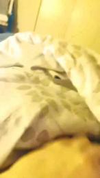 Rosbak50 webcam model stream image