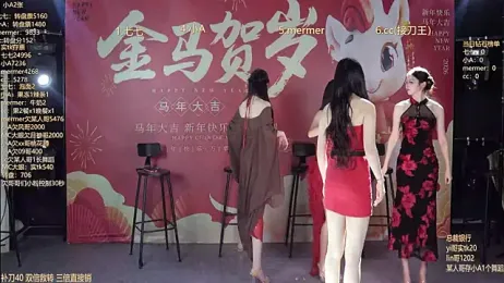 SK010 webcam model stream image