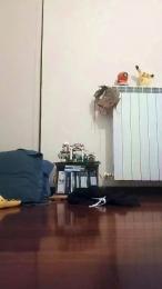 gabbus webcam model stream image