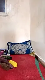 trans511 webcam model stream image