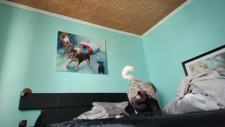 Prxscillia_Tx webcam stripchat model stream image