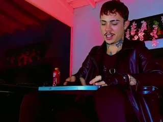 hannilest webcam model stream image