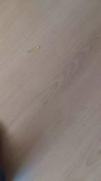 Geeall webcam model stream image