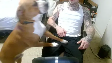 DADDY_KANE8--- webcam model stream image