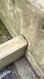 Matteoyves webcam model stream image