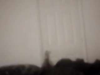 esbjohn webcam model stream image