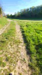 Legtiste webcam cam4 model stream image