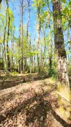 Legtiste webcam model stream image