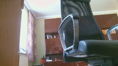 flugwespe2 webcam model stream image