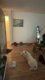 Uriel_23 webcam model stream image