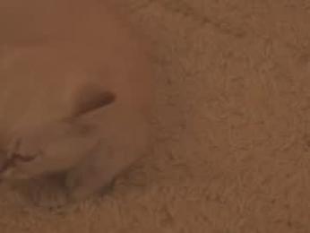 sunny_maria webcam model stream image