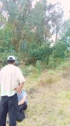 _noahdiaz webcam model stream image