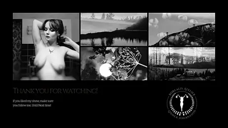 Borealisatelier webcam model stream image