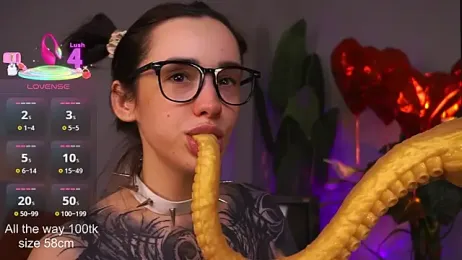 EvaCanton webcam model stream image