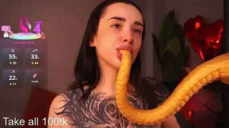 EvaCanton webcam model stream image