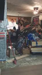 thompson3 webcam model stream image