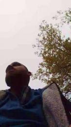 lLovePussy01 webcam model stream image