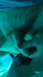 Malqueridobcn webcam model stream image