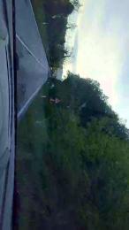 Rmark37 webcam cam4 model stream image