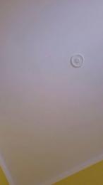 Porcellone1969 webcam cam4 model stream image