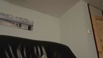 edelweiss3 webcam model stream image