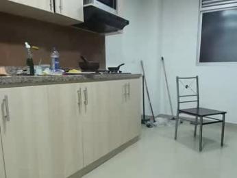 midgettripod1 webcam chaturbate model stream image