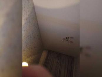 Vgtyhn webcam model stream image