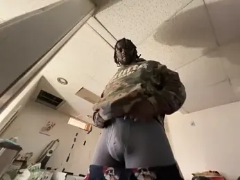 3l3bbc webcam model stream image