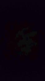 vogliadiculo1 webcam model stream image