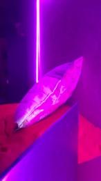 lucibadgrilxxx webcam cam4 model stream image