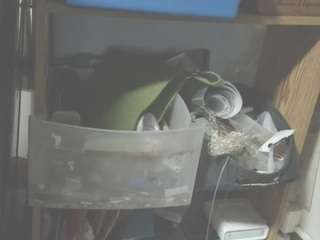 asskitten webcam model stream image