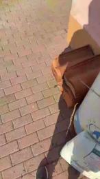 lucapublic webcam model stream image