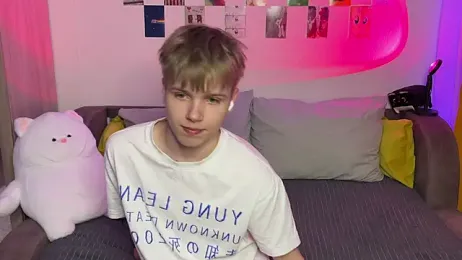 metarion webcam model stream image