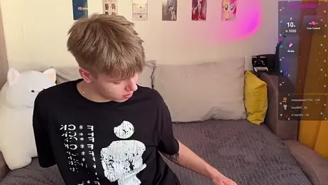 metarion webcam model stream image