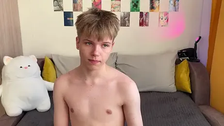 metarion webcam model stream image