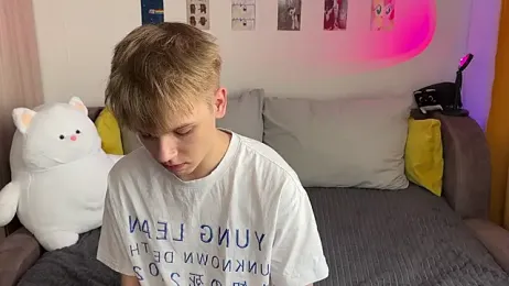 metarion webcam model stream image