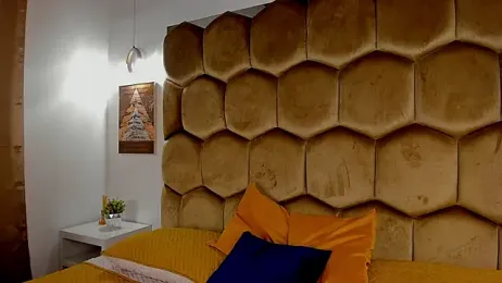 Emmet_CollinsJS webcam model stream image