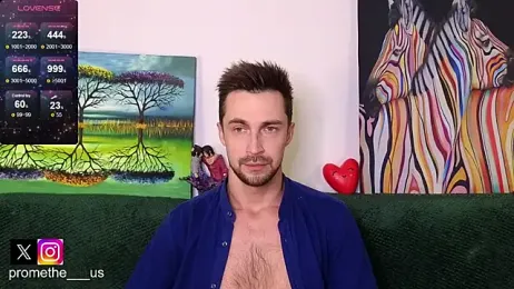 Promethe_us webcam model stream image