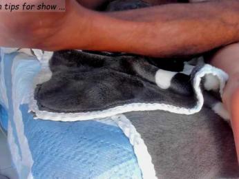 Idaly-Carlos webcam model stream image